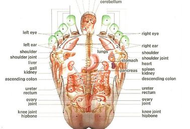 침술 점을 위한 전기석 심혼 Shiatsu 발 마사지 기계, Reflexology